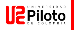 Universidad Piloto